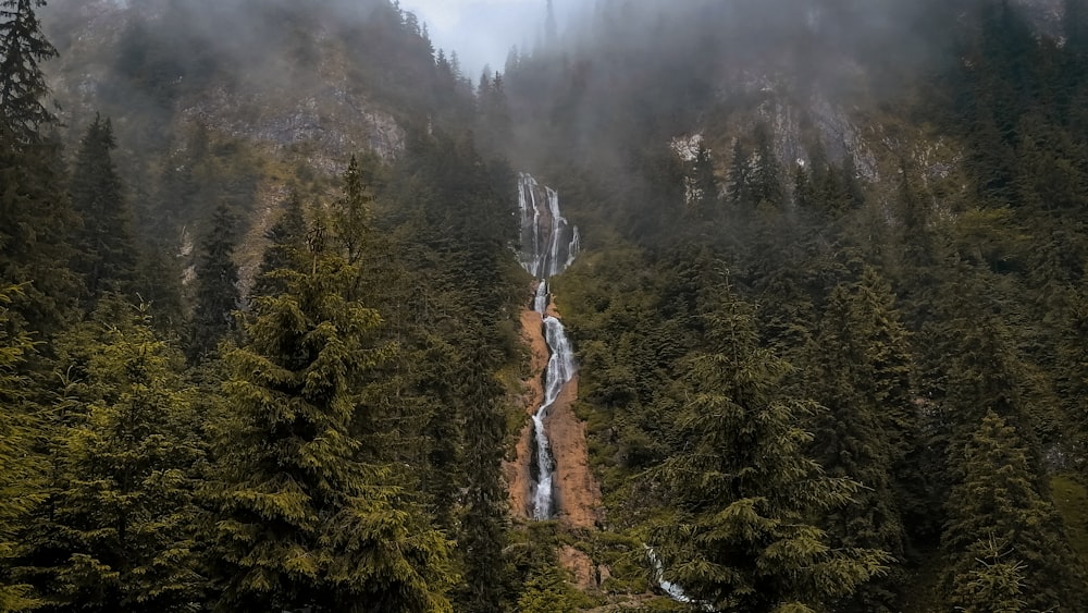 green trees on mountain during daytime