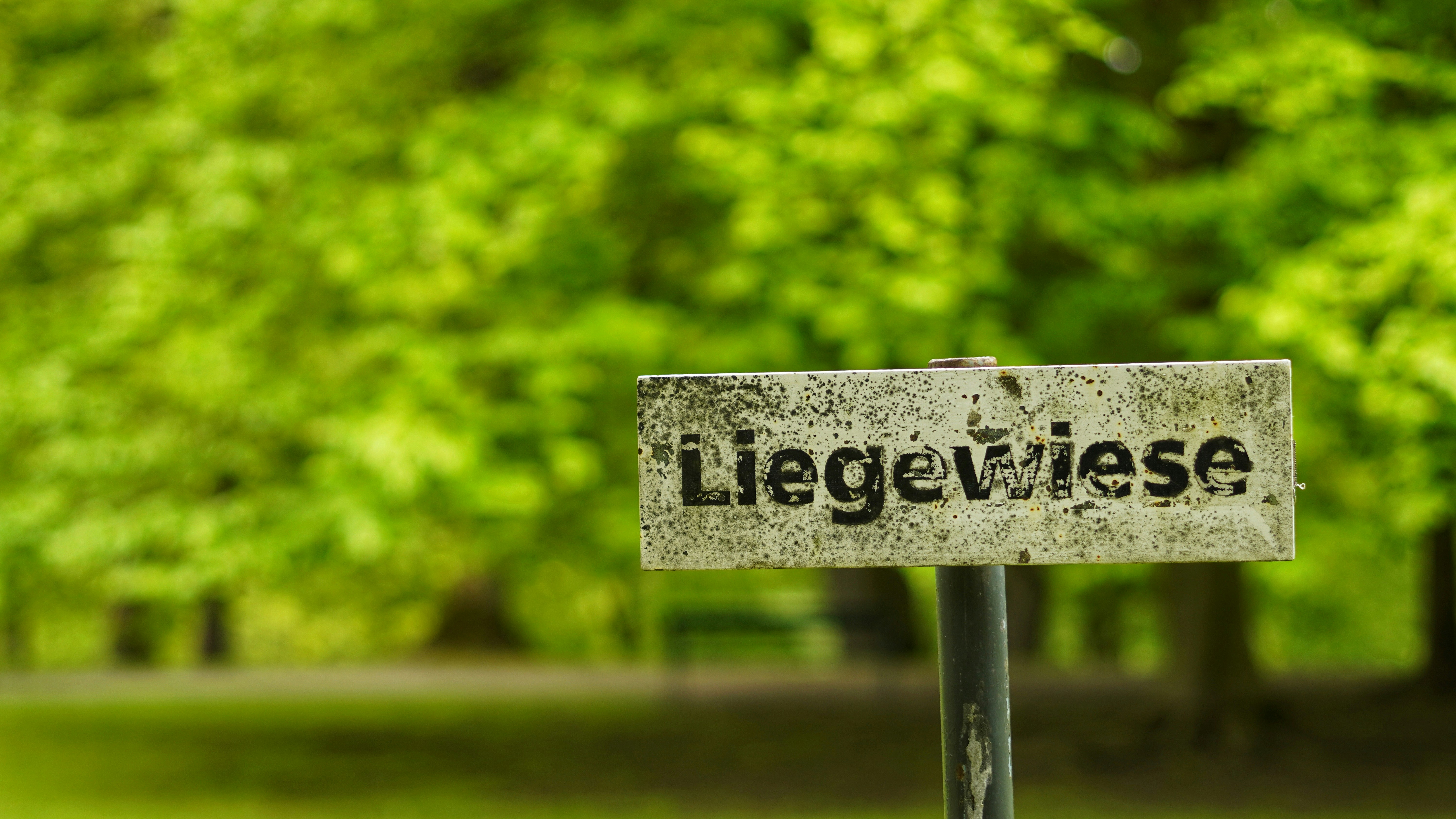 Liegewiese