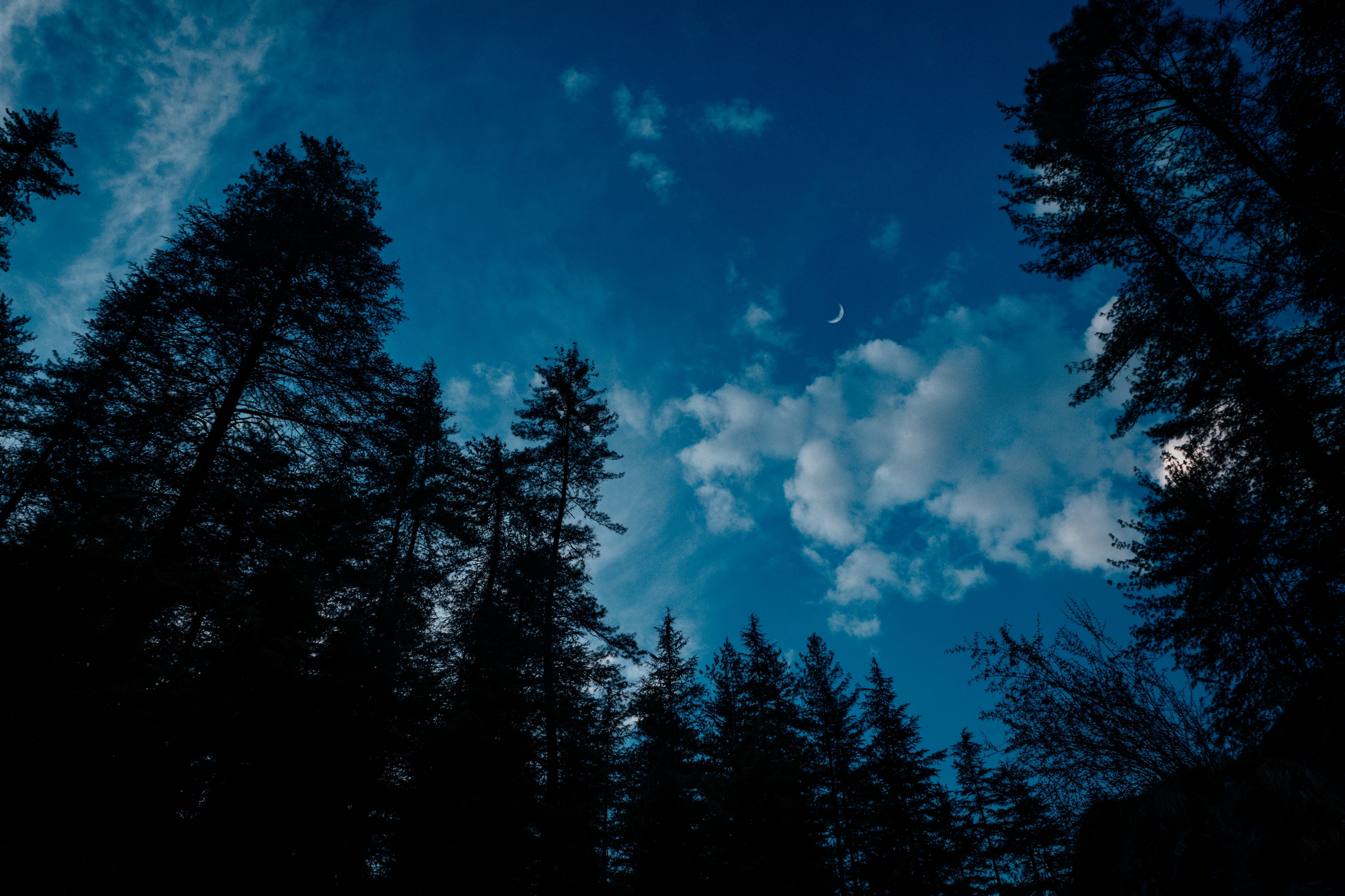 Photo by thefinalshot