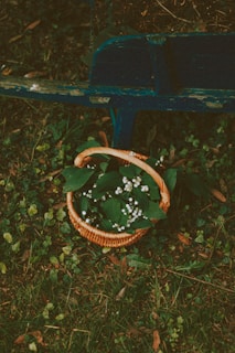 brown woven basket on green wooden bench