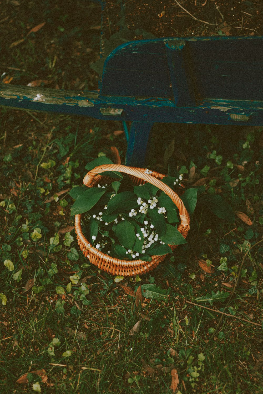 Panier tressé brun sur banc en bois vert