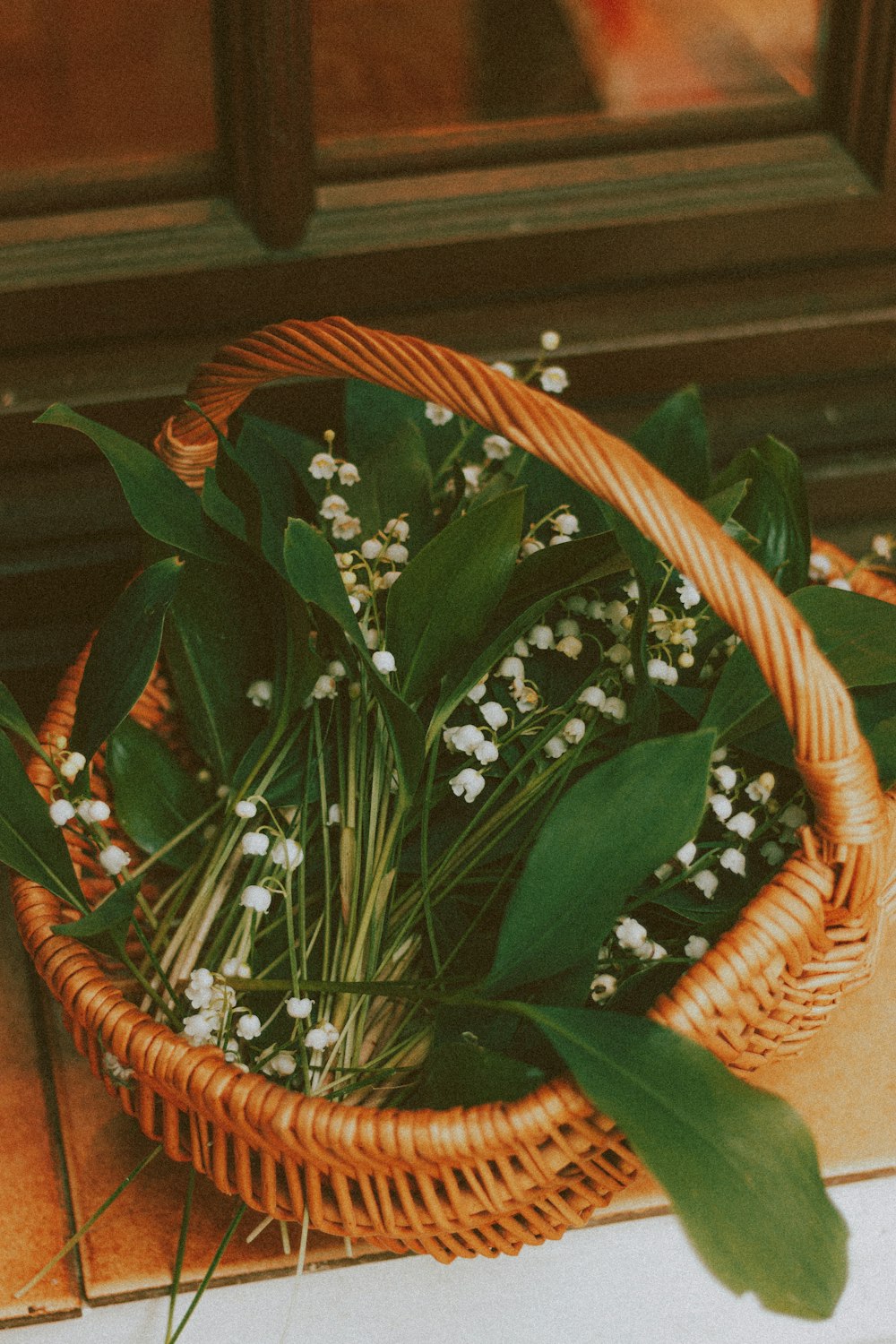 green plant on brown woven basket