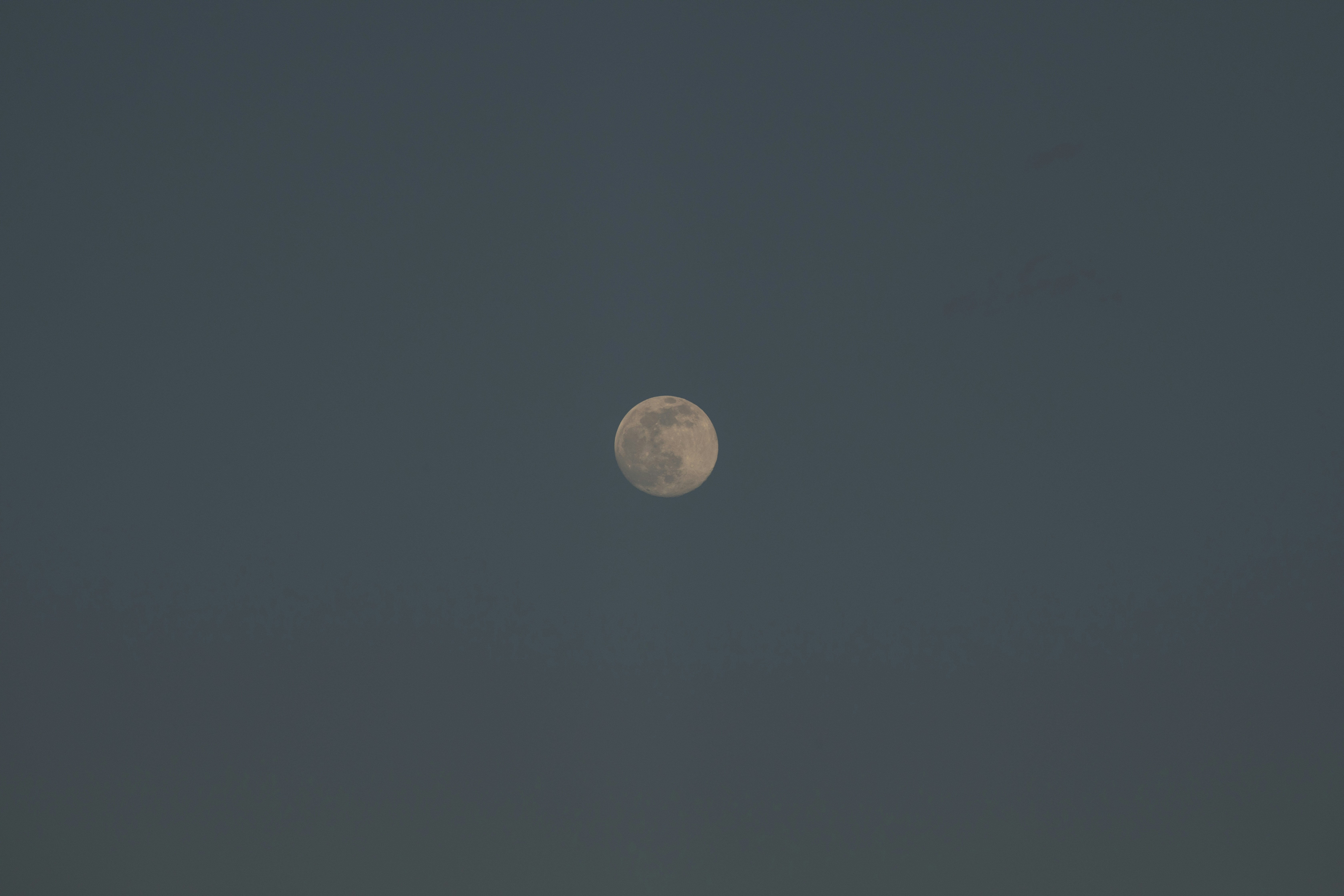 Photo by tassomitsarakis