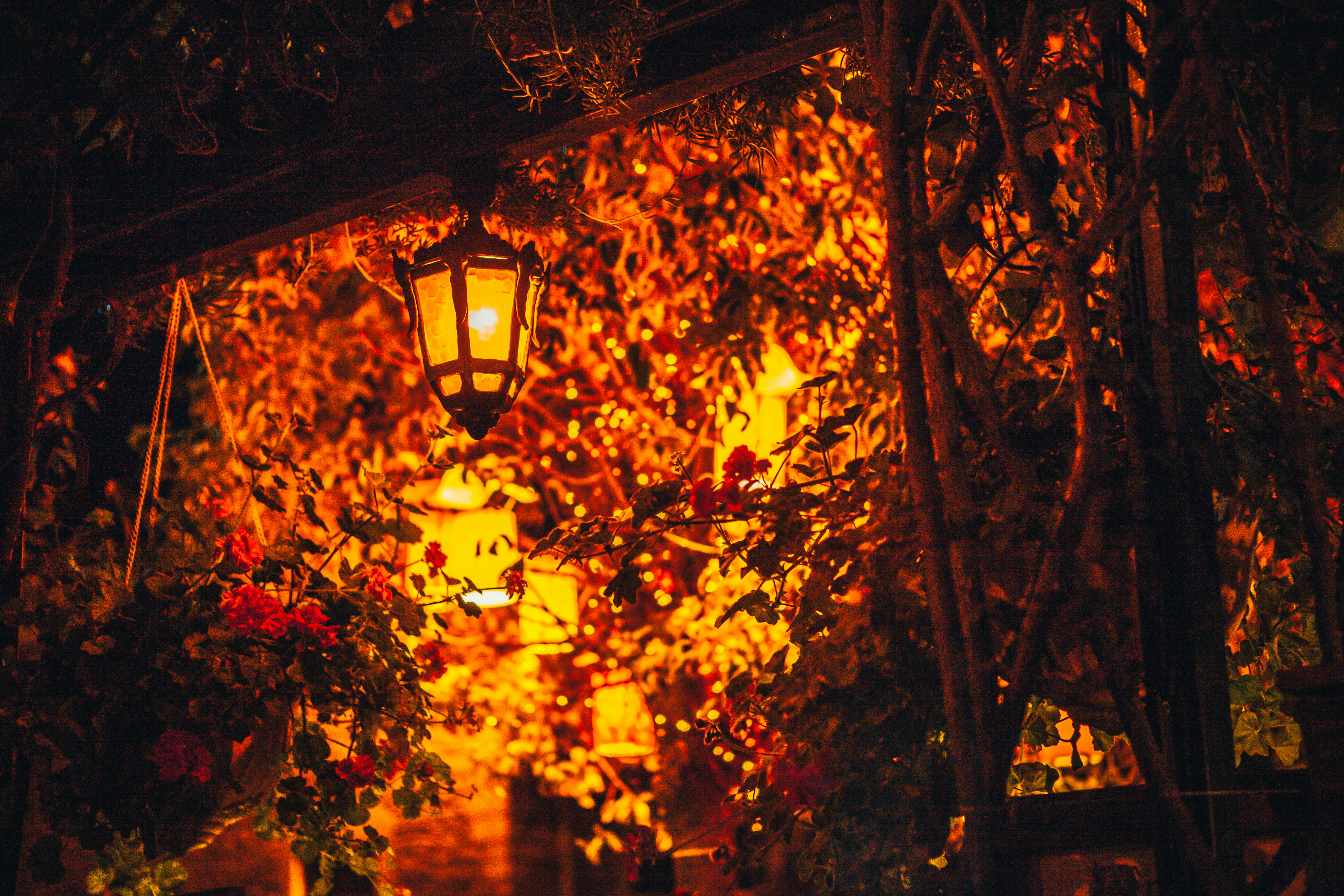 Photo by raimondklavins