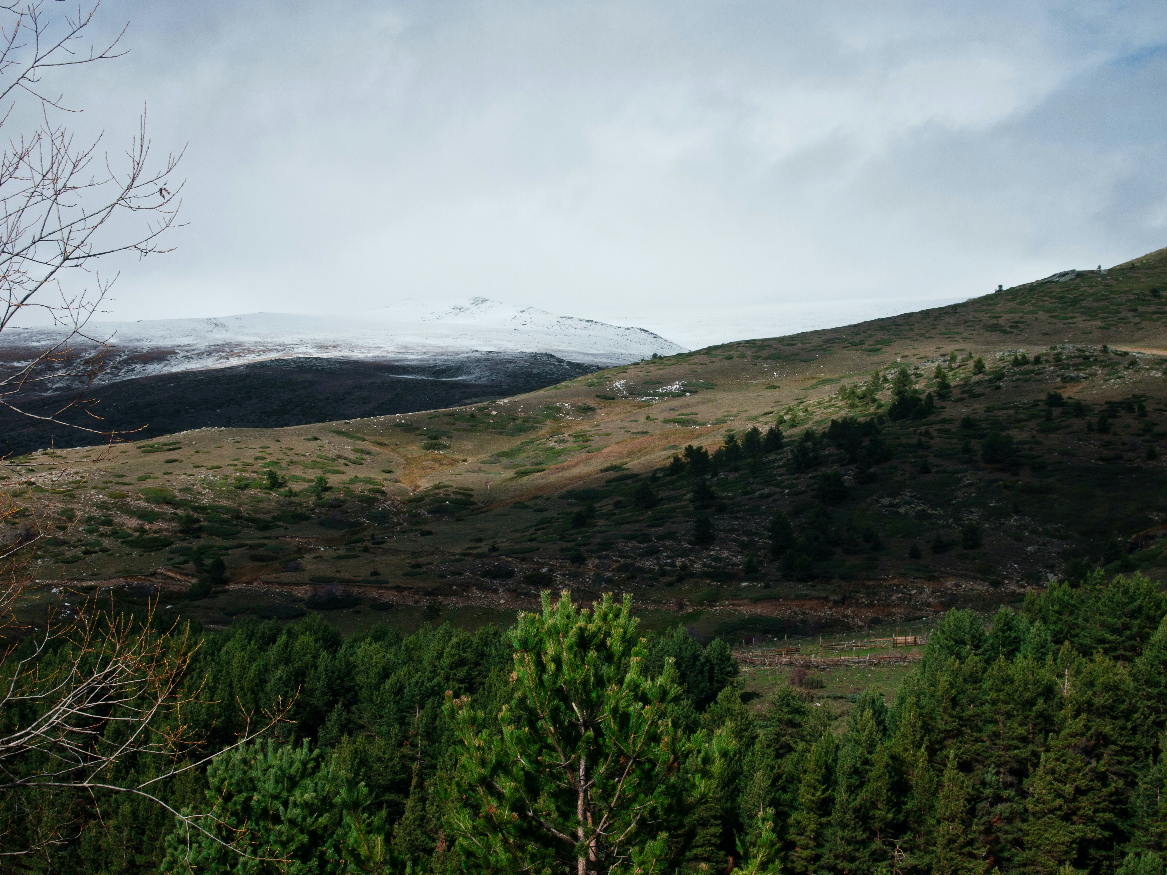 Photo by tassomitsarakis