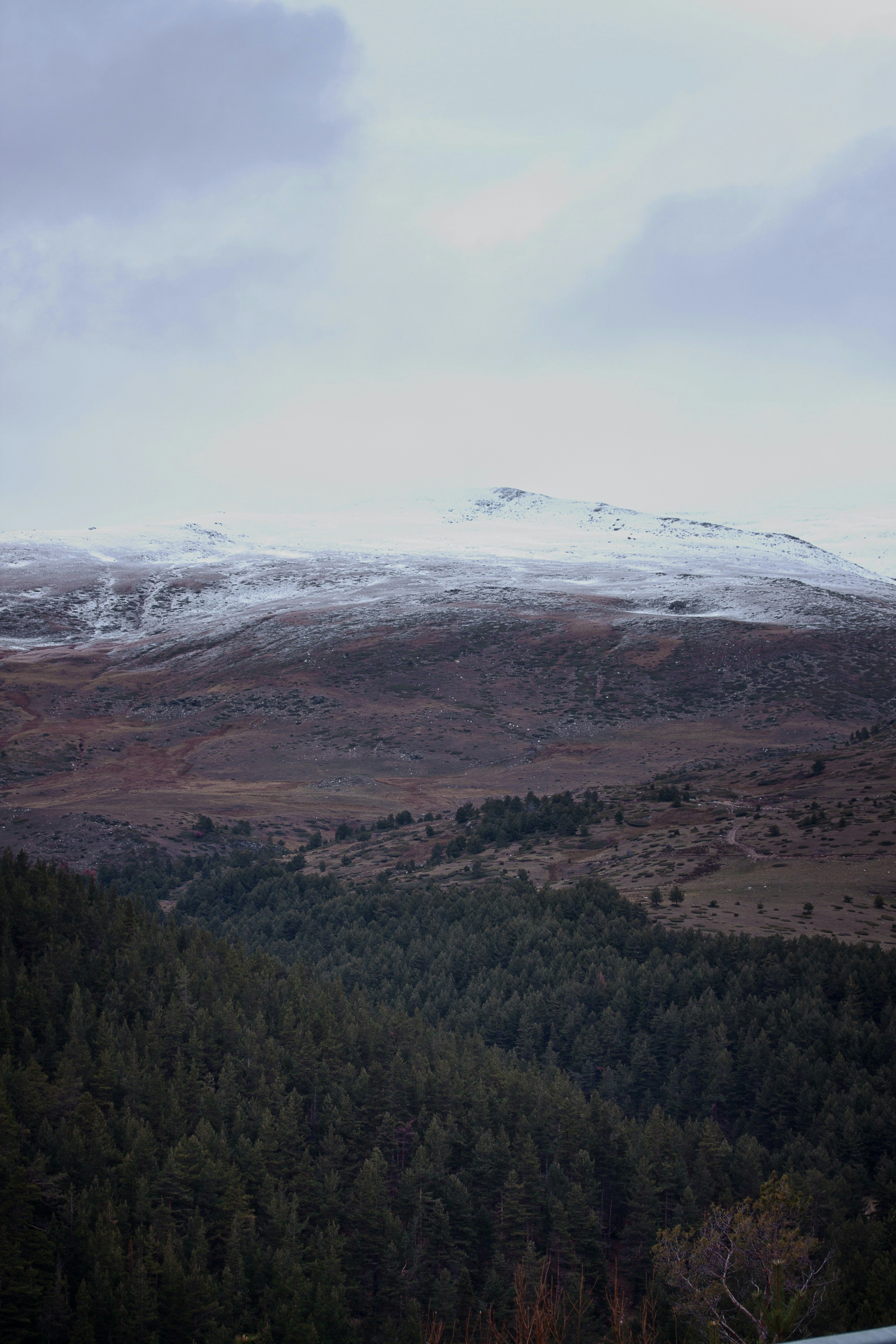 Photo by tassomitsarakis