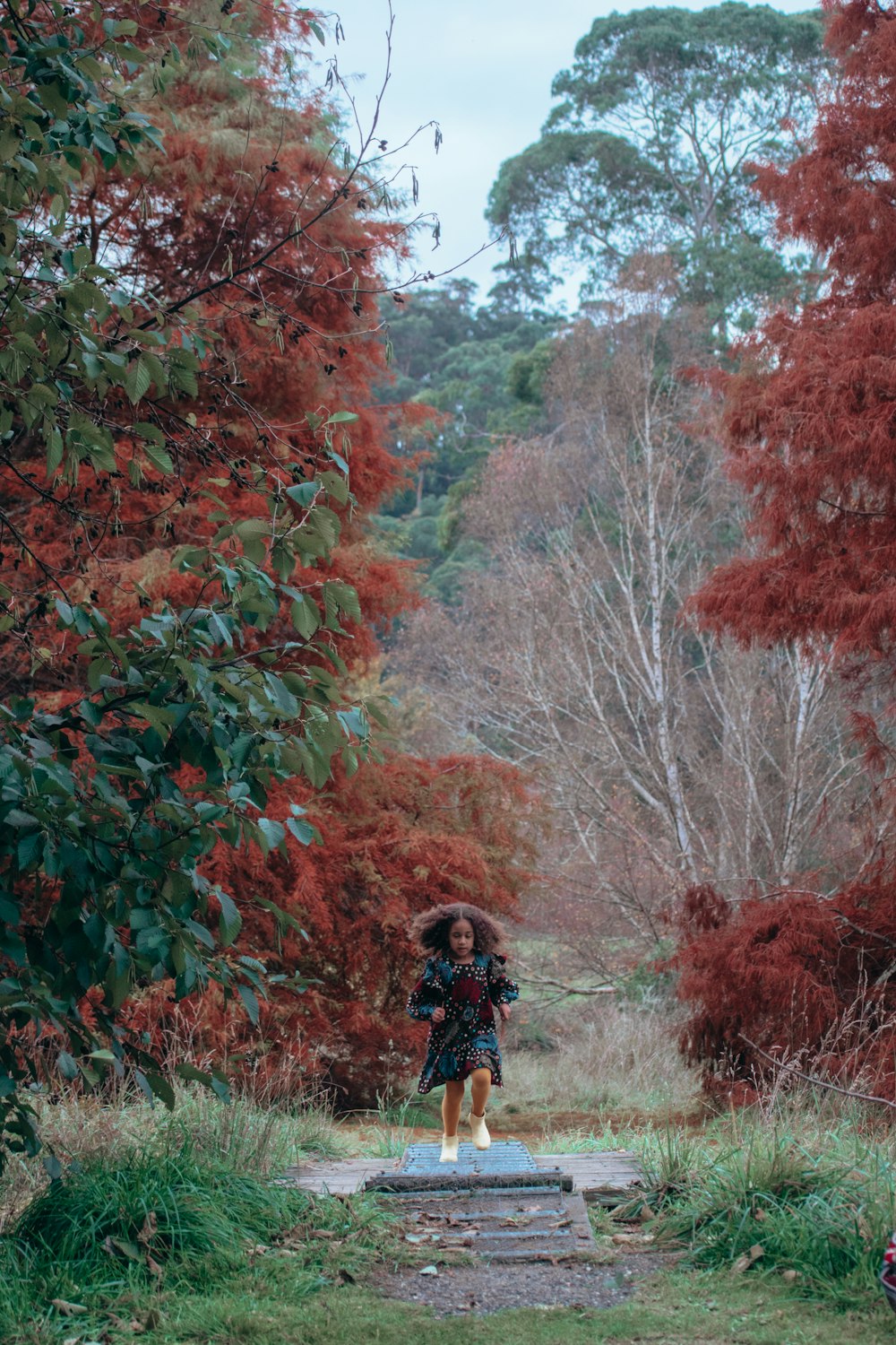 man in black jacket and black backpack walking on red and brown leaves trees during daytime