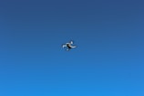 Mini drone hovering in a bright, open space.