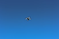 Close-up of a professional drone in flight against a clear blue sky.