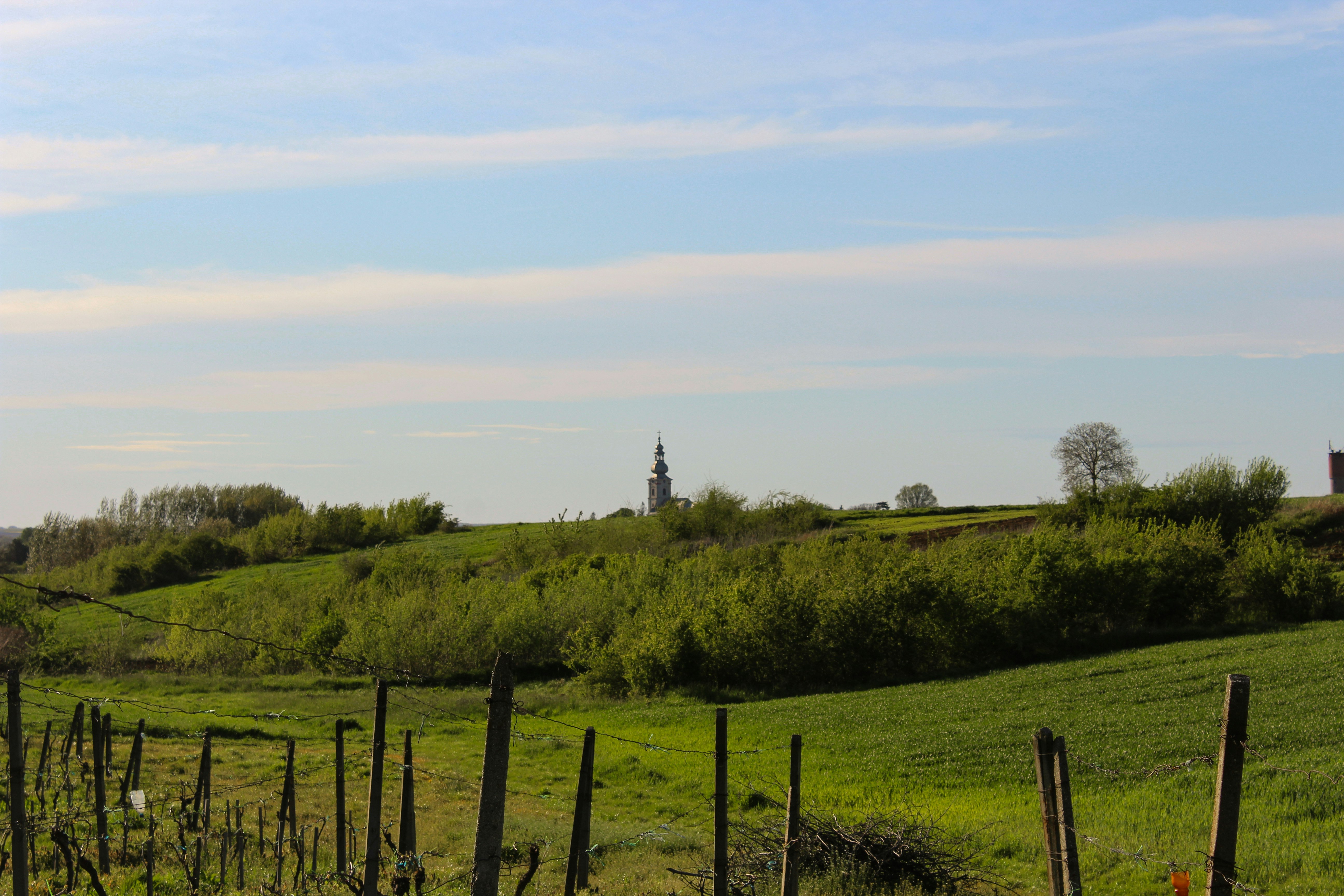 Photo by czapp_botond