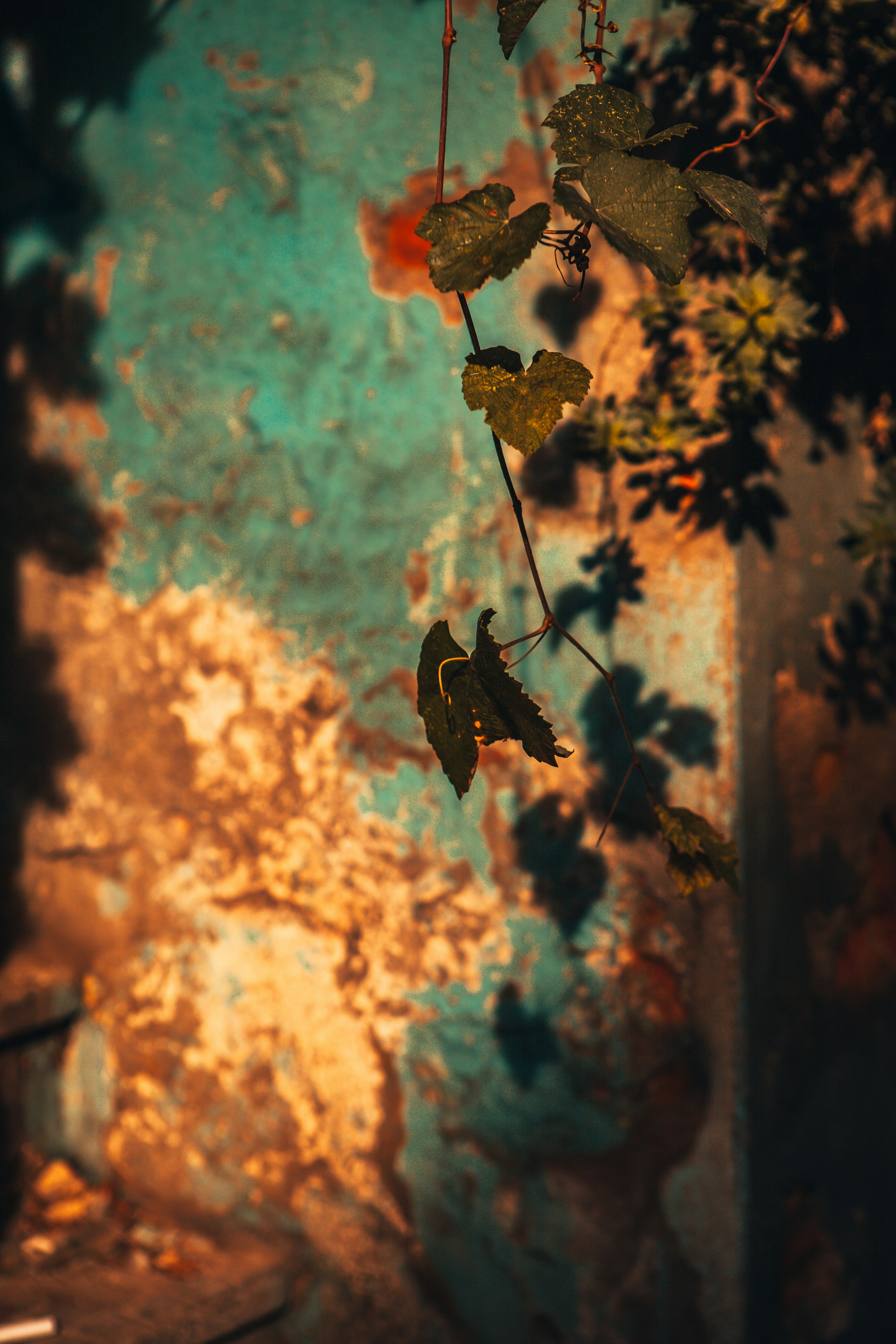 How you can make cheese in the home: the secrets to cheese making