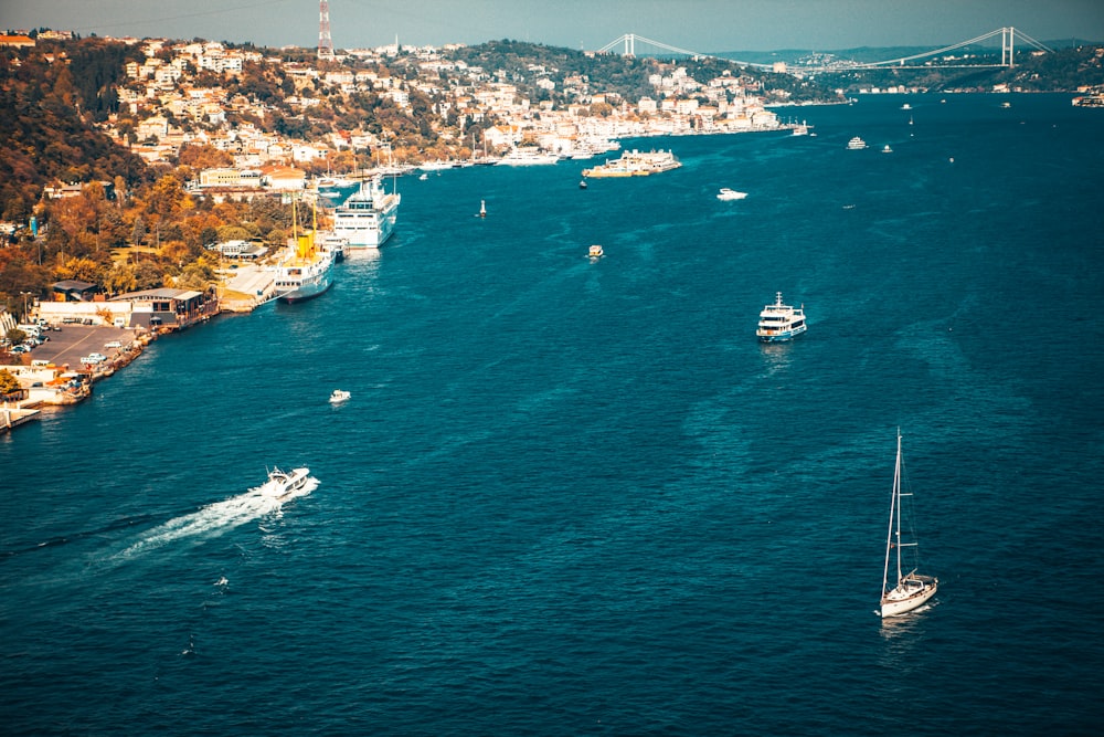 white and blue boat on sea during daytime