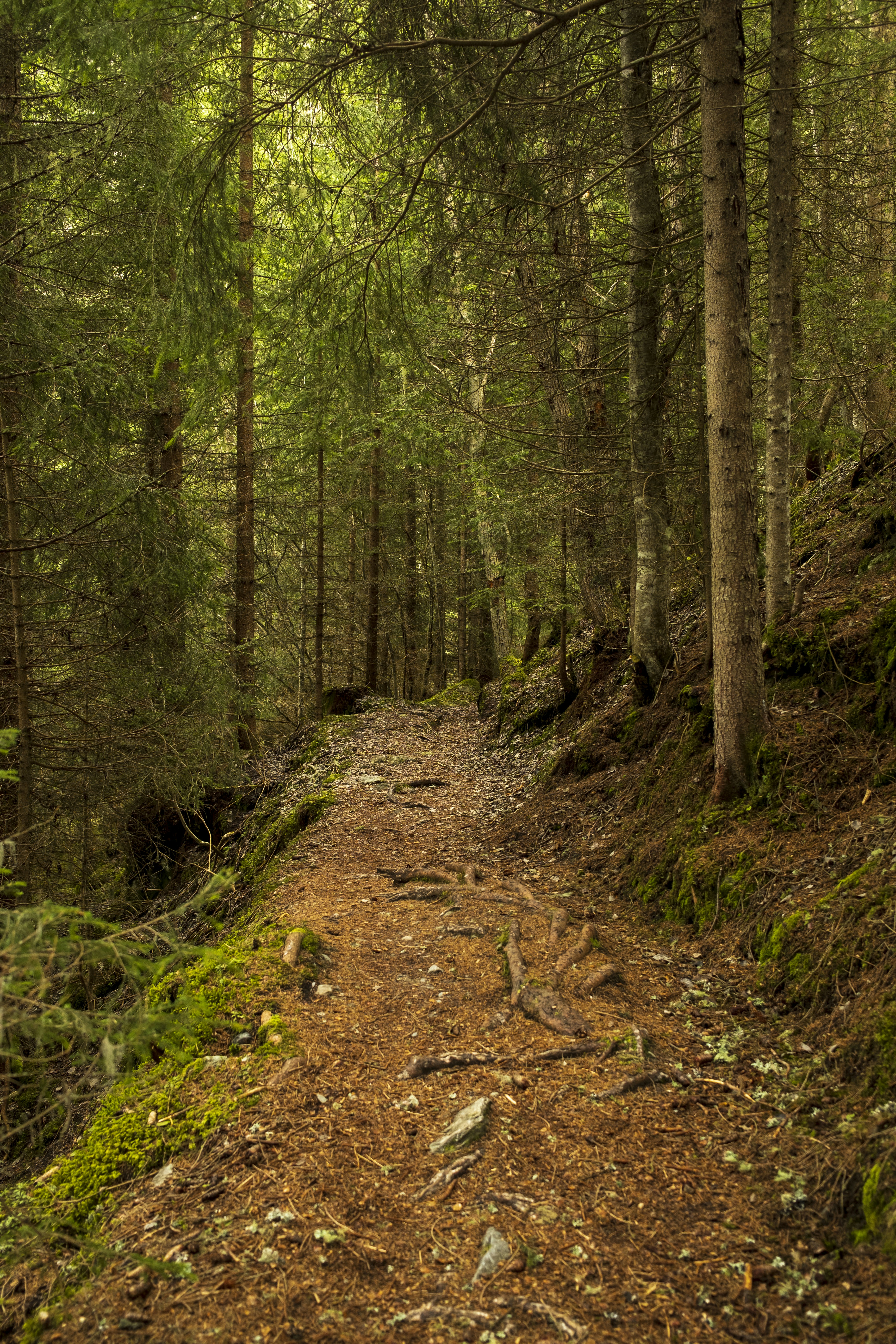 Photo by soniaparani