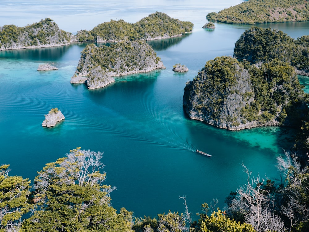 Blue Lake Surrounded By Brown And Green Trees During Daytime