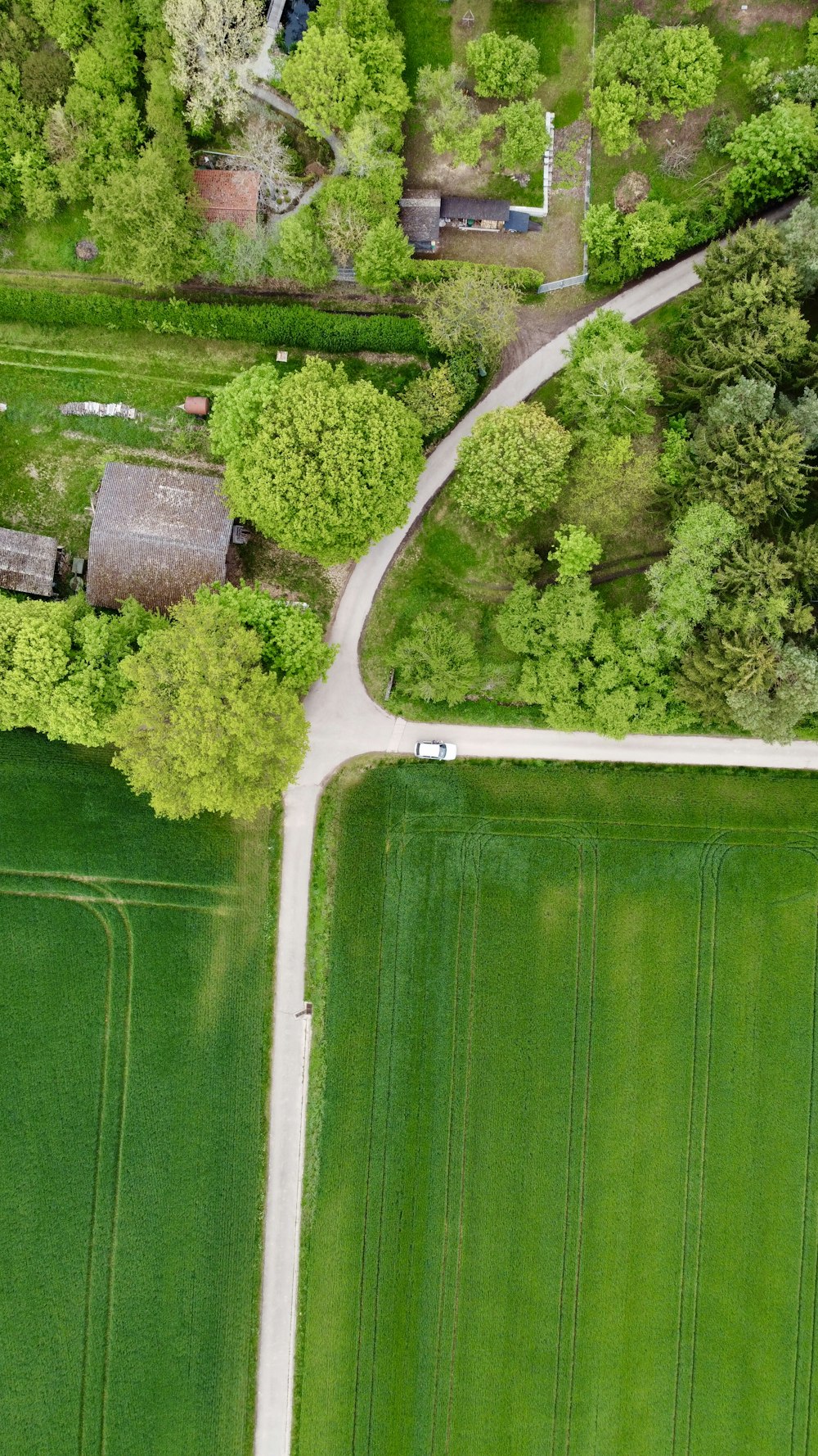 aerial view of green grass field during daytime