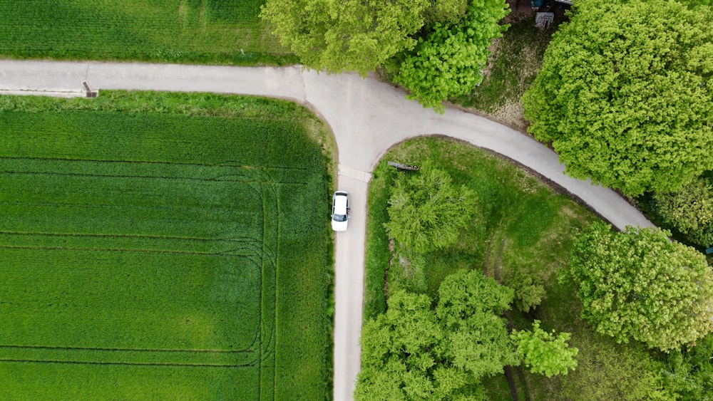 aerial view of green grass field