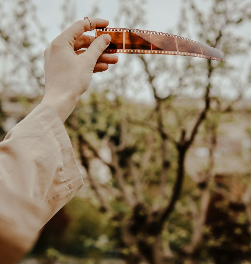 person holding red and white leaf