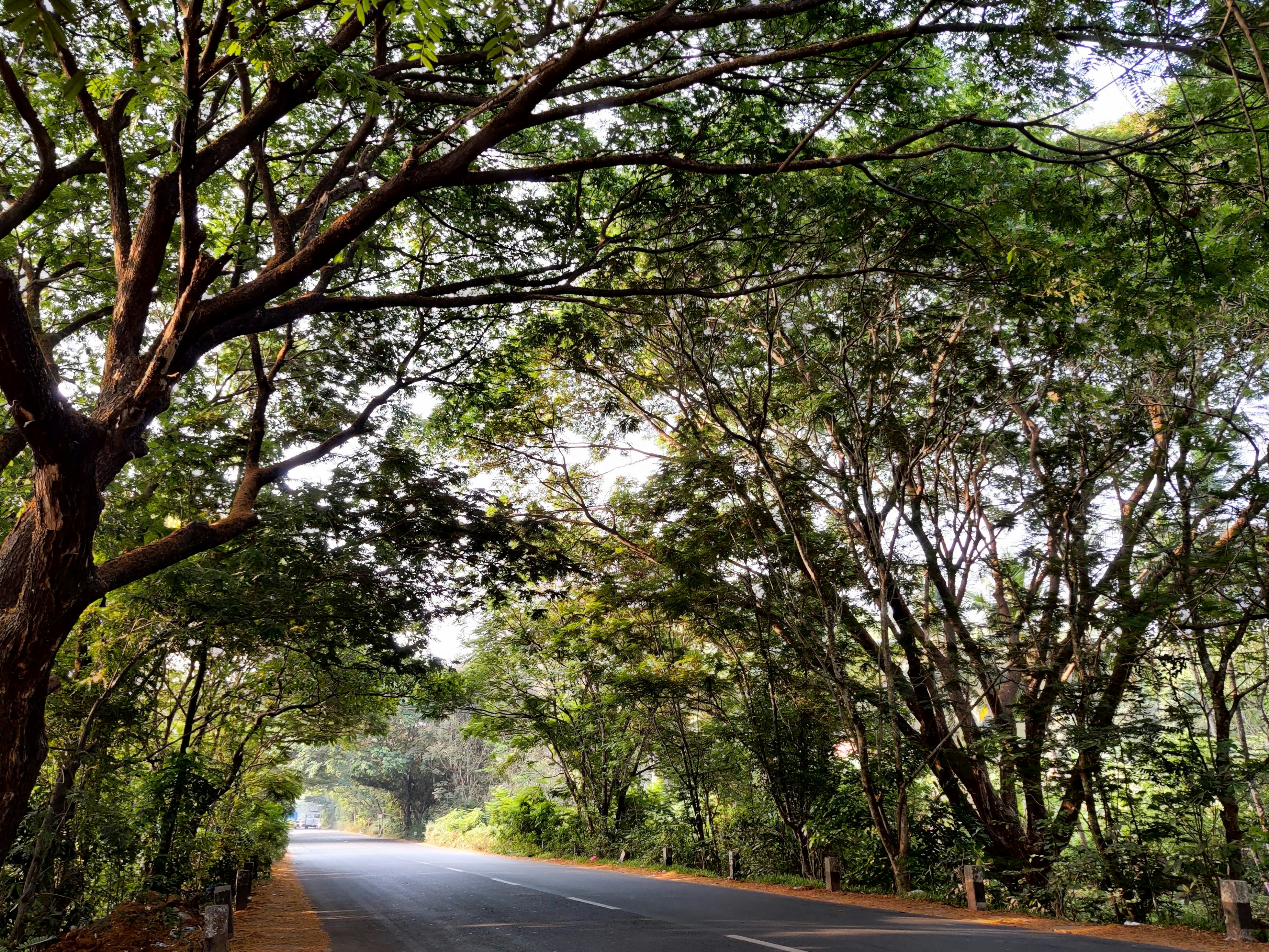 Photo by arunnambissan