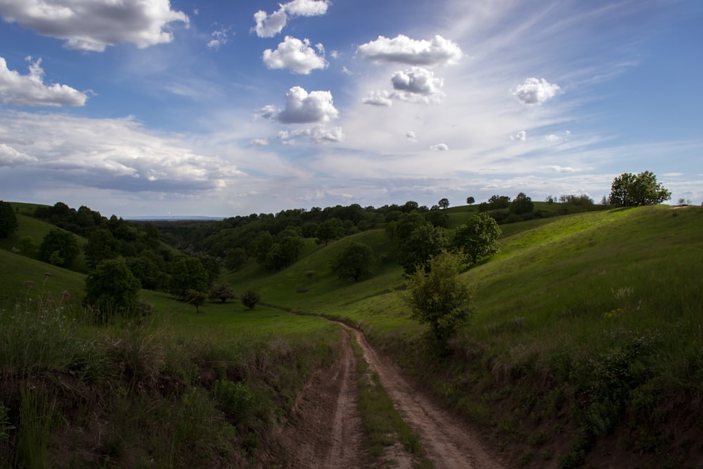 green grass field under blue sky and white clouds during daytime