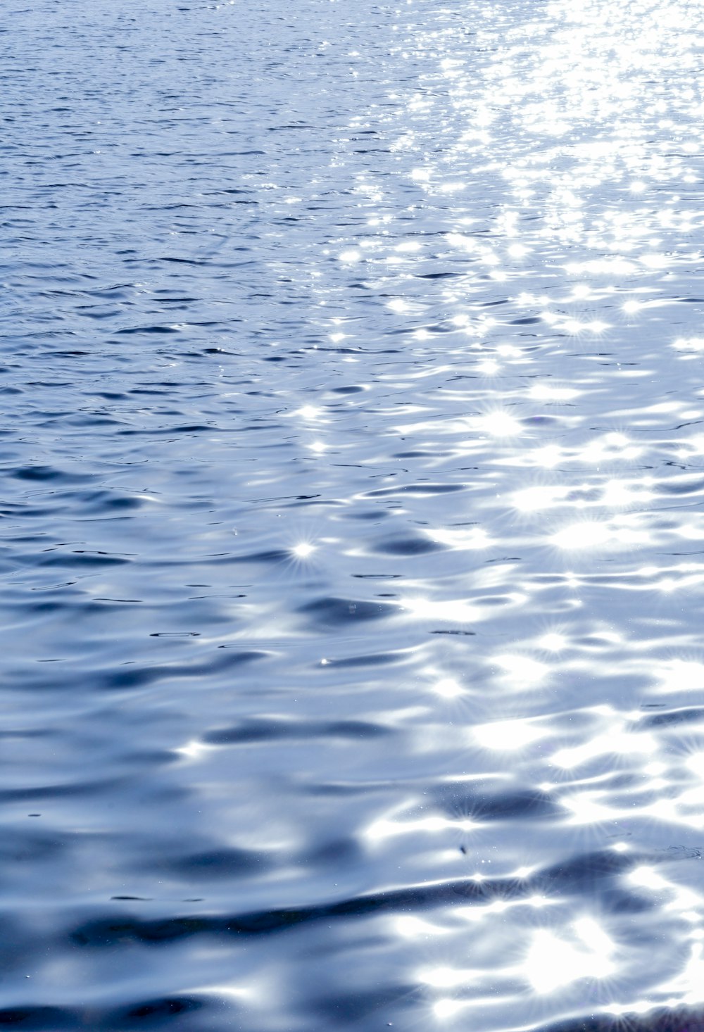 cuerpo de agua durante el día