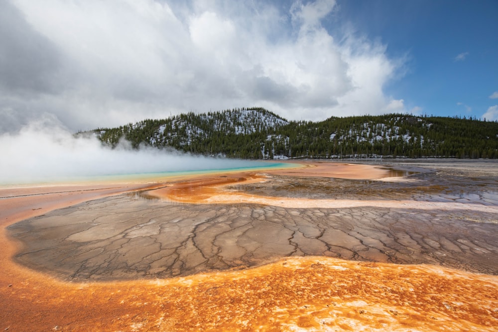 brown and white sand near body of water during daytime