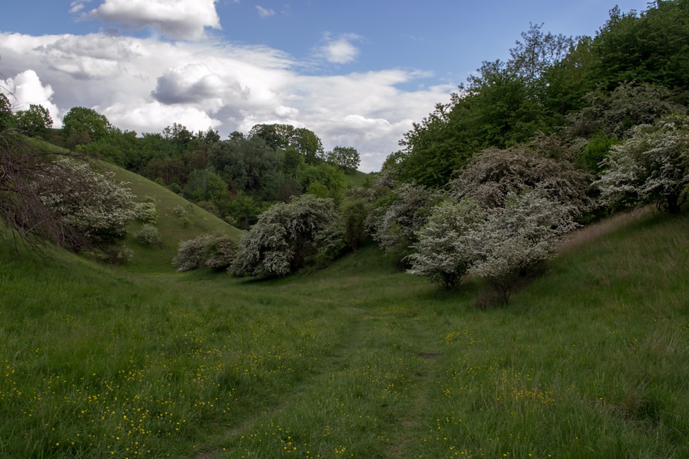 green grass field near gray rock formation under white clouds and blue sky during daytime