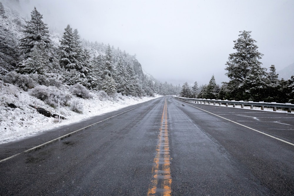 gray concrete road between trees covered with snow during daytime