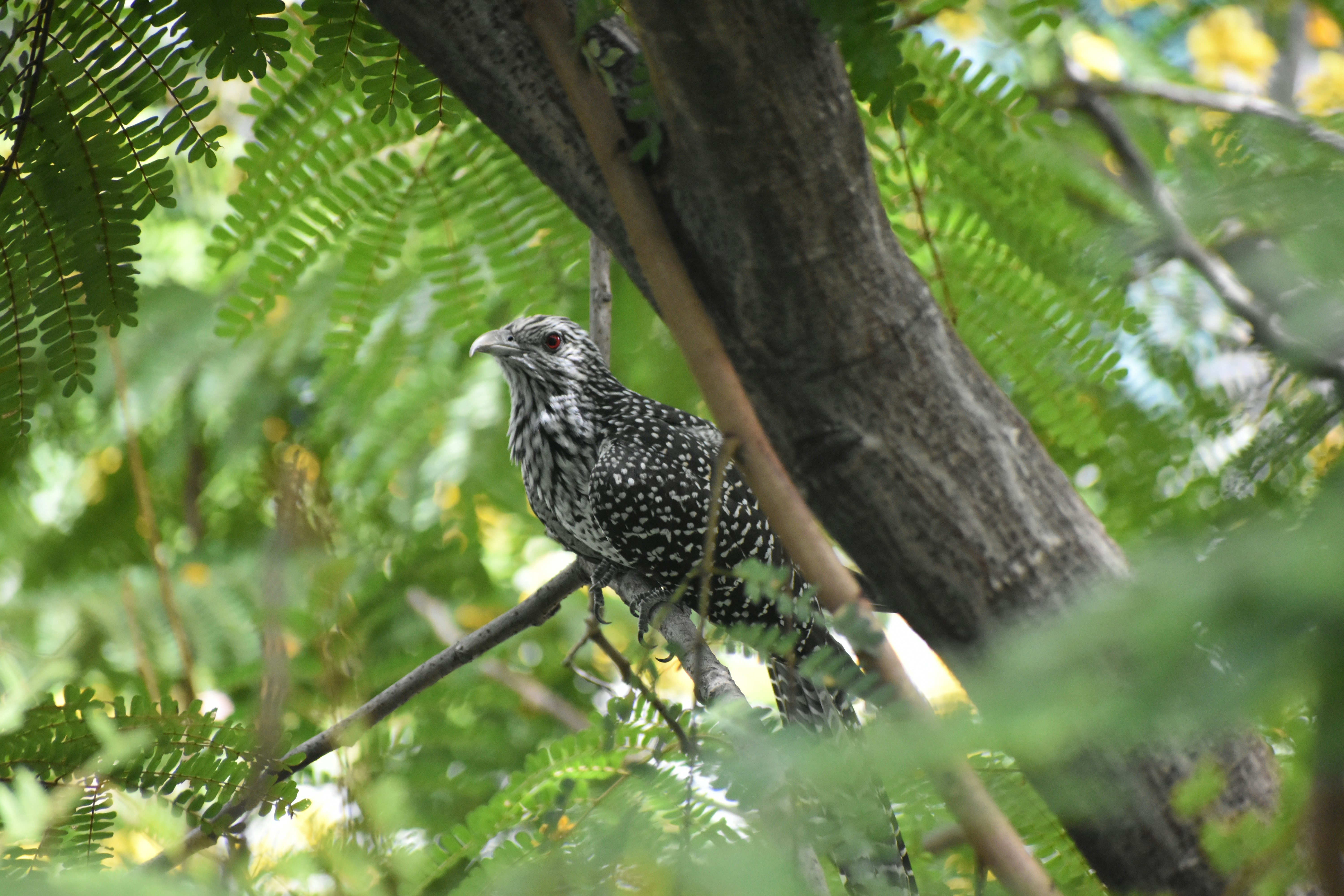 Photo by rvsubramani