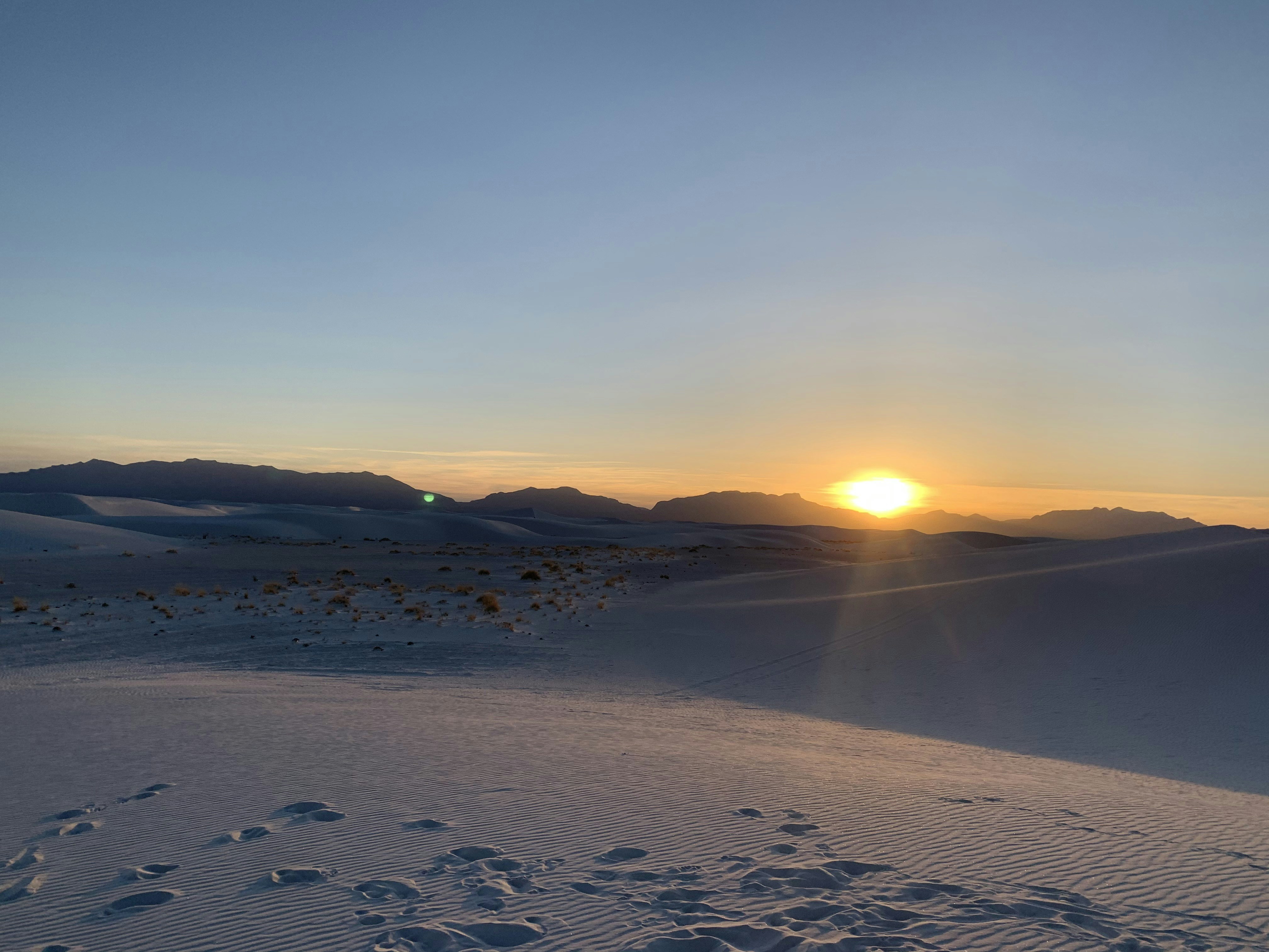 Photo by bradybronson