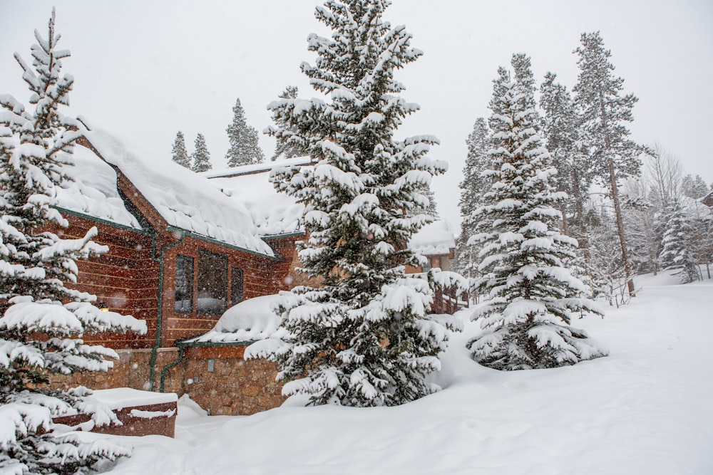 brown house near green pine trees covered with snow during daytime