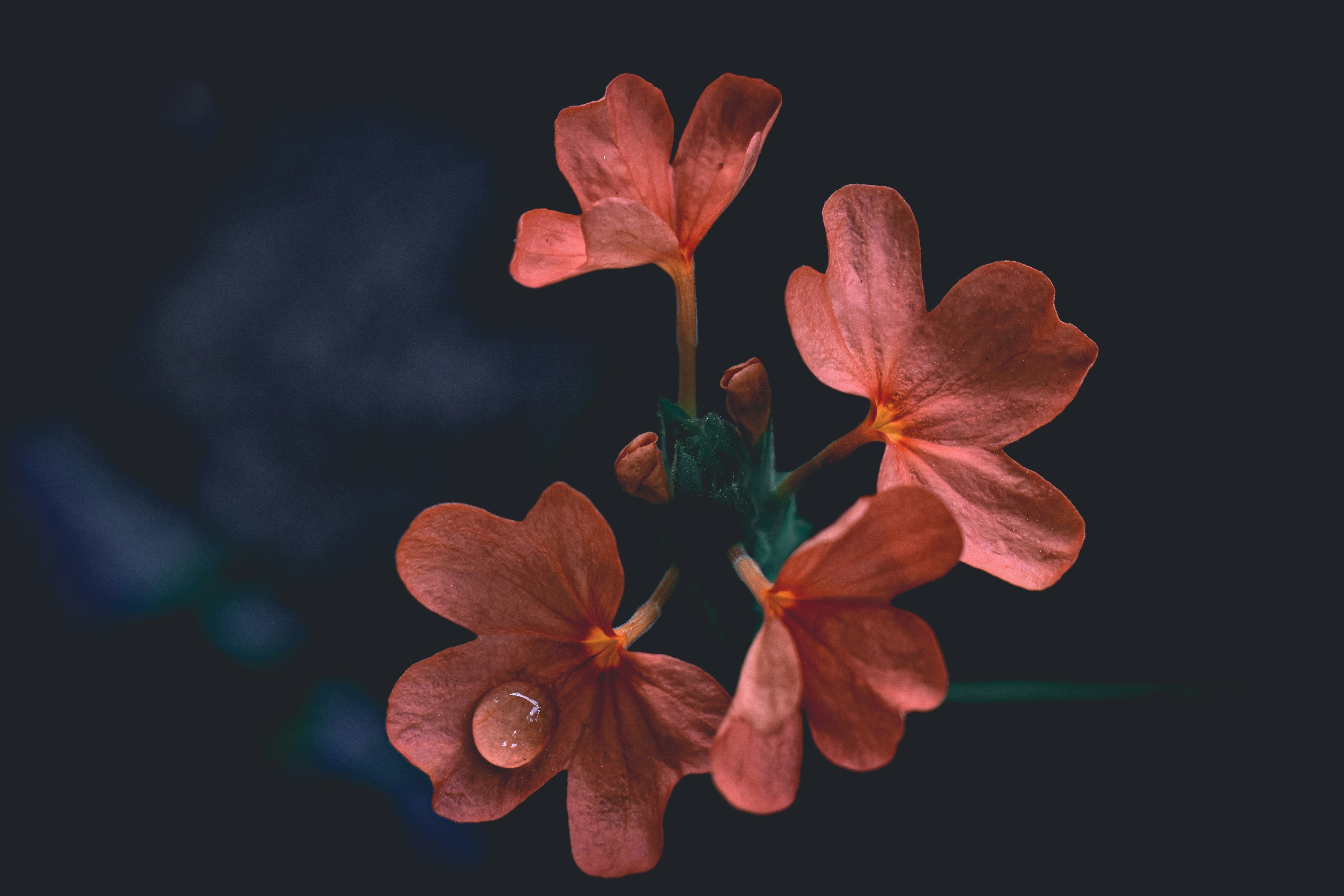 Photo by sunandjakkula