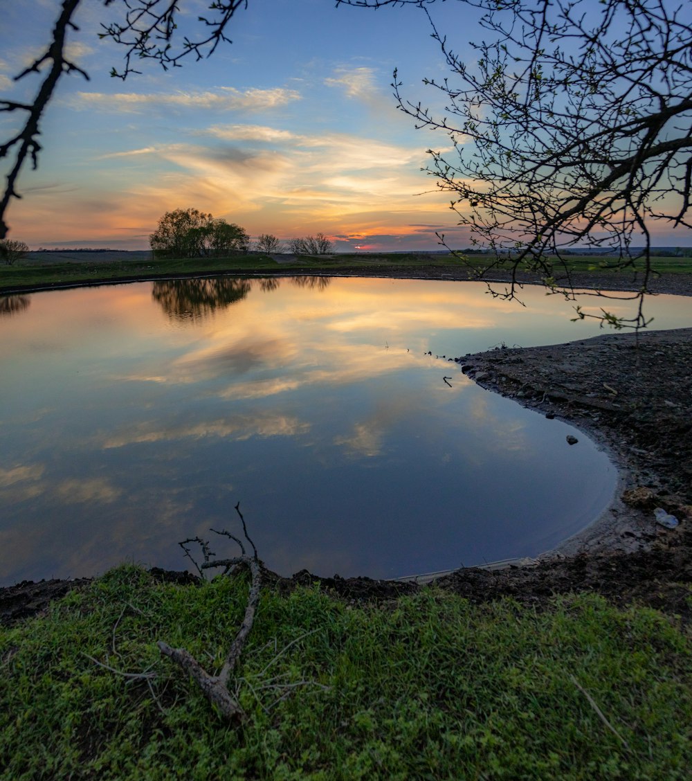 body of water near trees during sunset