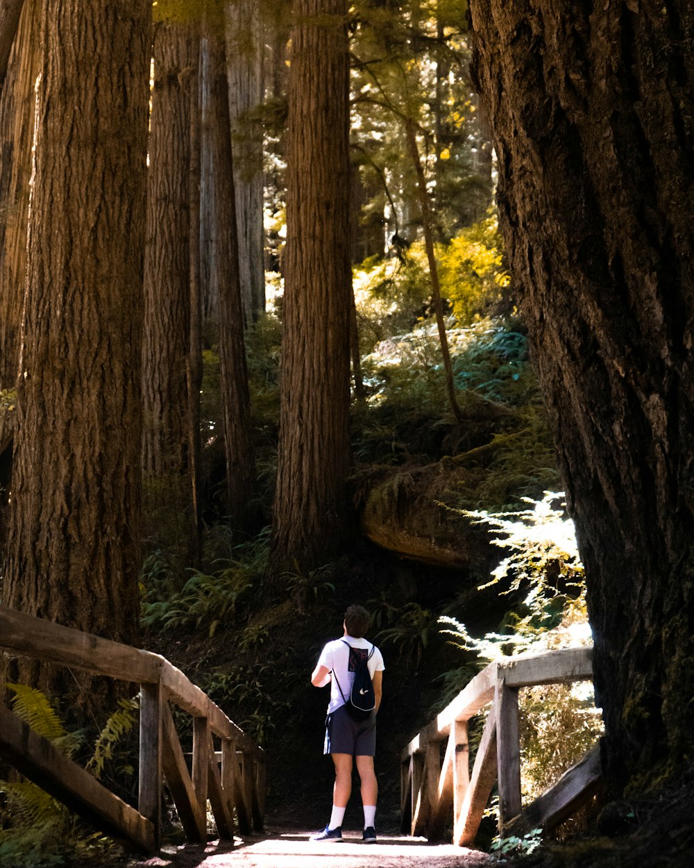 woman in pink jacket and blue denim jeans standing on brown wooden bridge