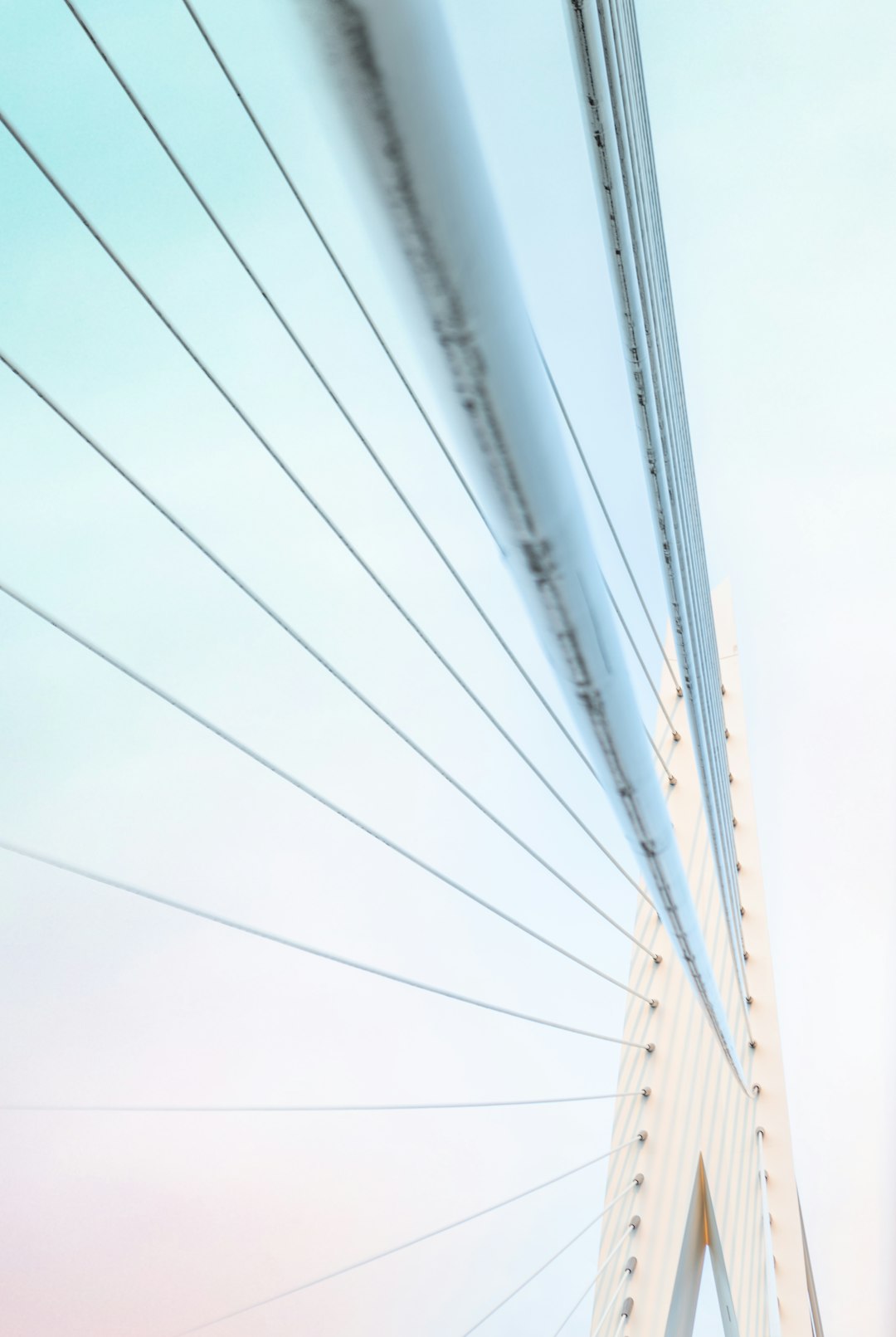 white and gray cable bridge under white sky during daytime