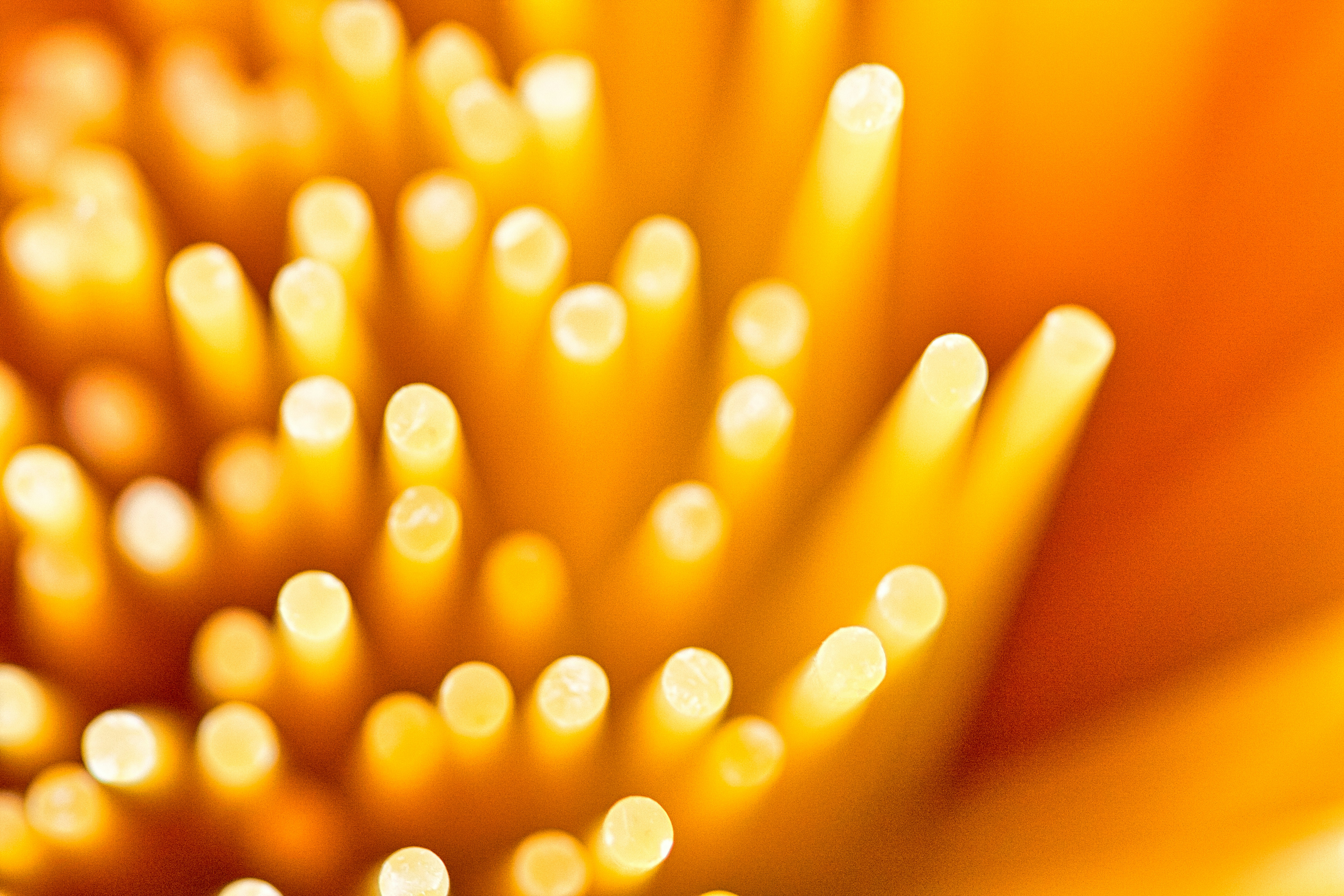 5 Best Small Towns in Louisiana