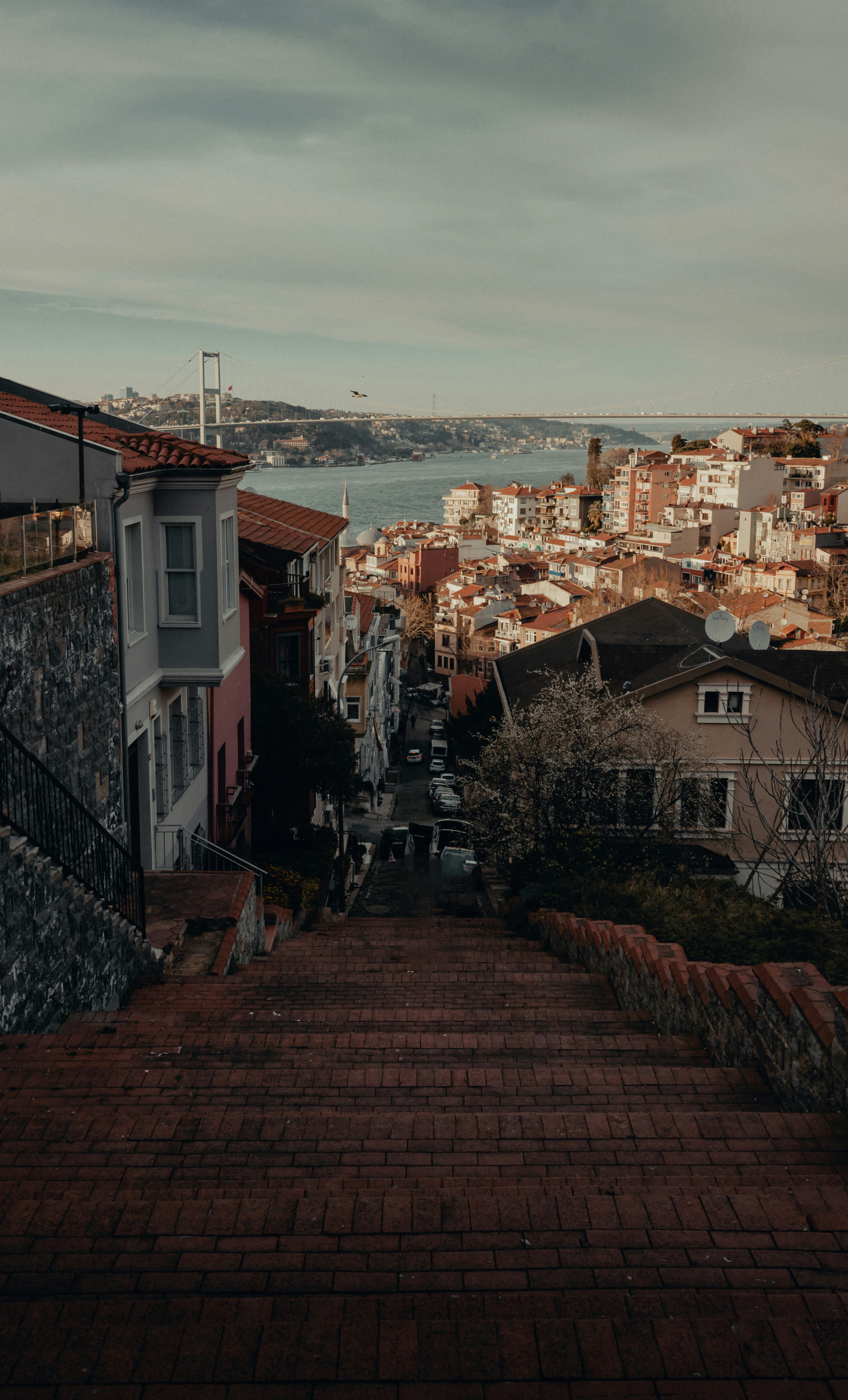 Photo by t_ahmetler