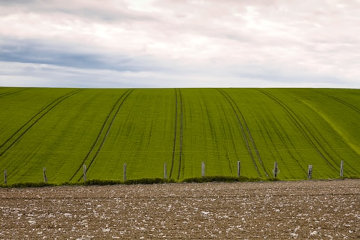 green grass field under white clouds during daytime