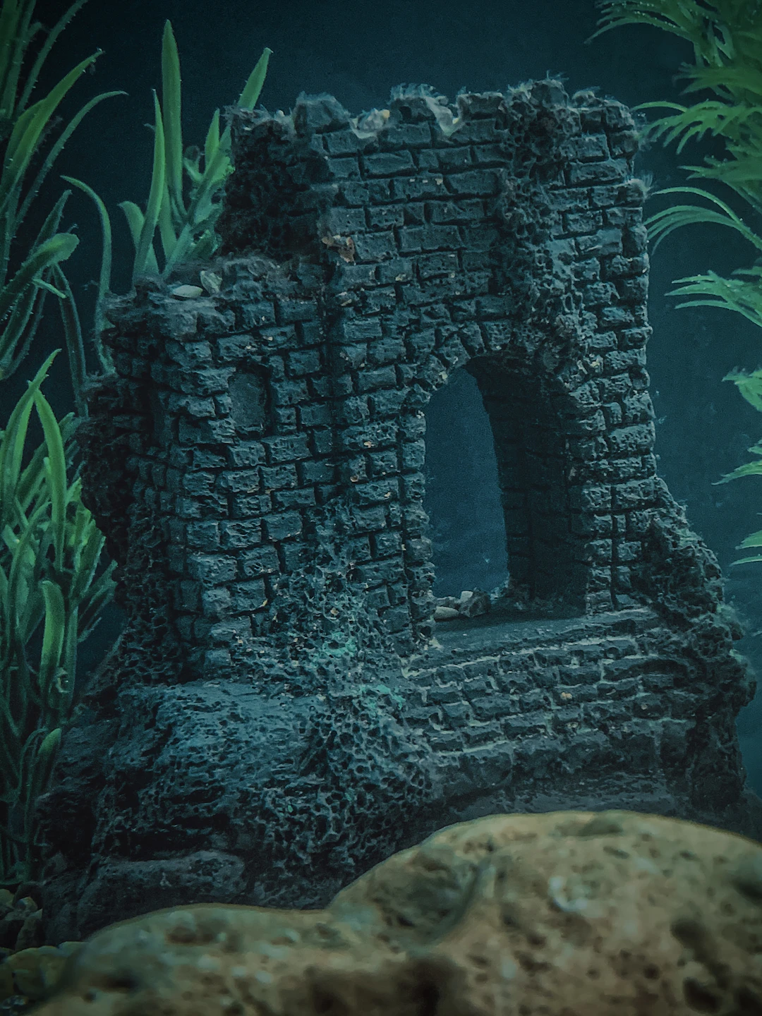 Atlantis