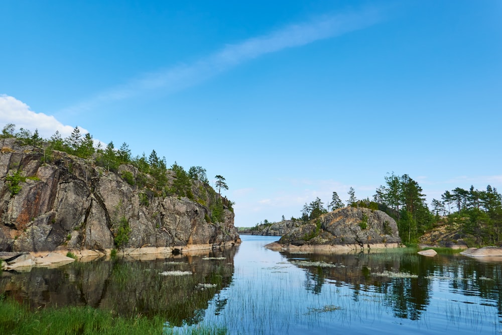 alberi verdi accanto allo specchio d'acqua sotto il cielo blu durante il giorno