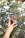 A hand with a geometric nail design holds a smartphone displaying an image of two smiling individuals, one holding a camera. The background is filled with lush green foliage and bokeh light effects, creating a vibrant and lively atmosphere.