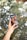 A hand with a geometric nail design holds a smartphone displaying an image of two smiling individuals, one holding a camera. The background is filled with lush green foliage and bokeh light effects, creating a vibrant and lively atmosphere.