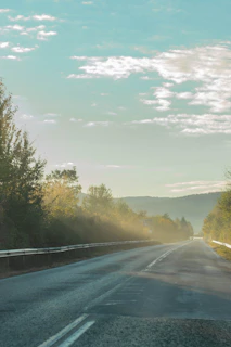 A serene pastel-colored road winding gently through a misty forest at dawn.