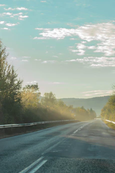 A serene pastel-colored road winding gently through a misty forest at dawn.