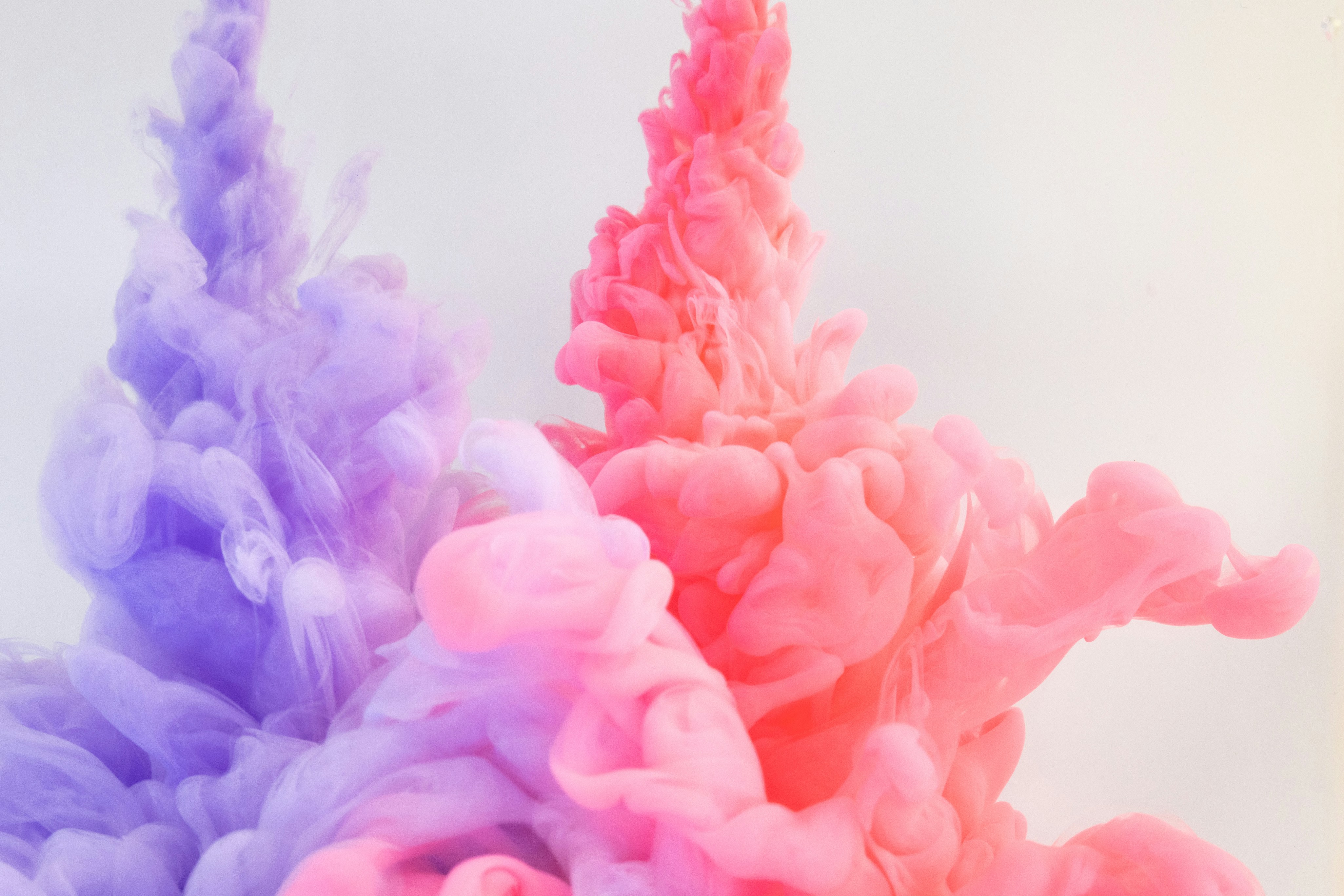 Photo by solenfeyissa