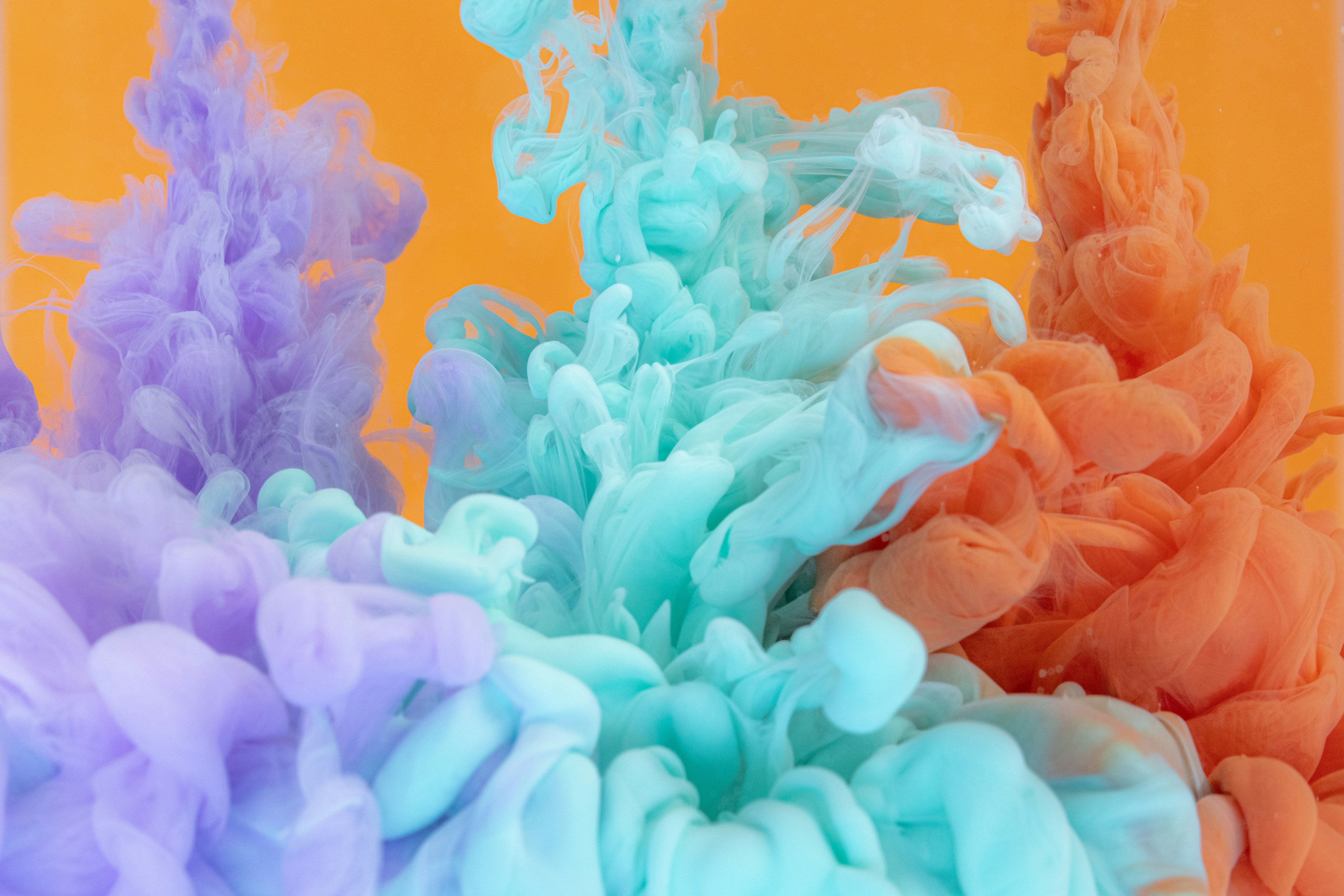 Photo by solenfeyissa