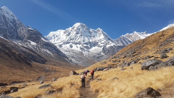 A vibrant mountain landscape with hikers enjoying the view.