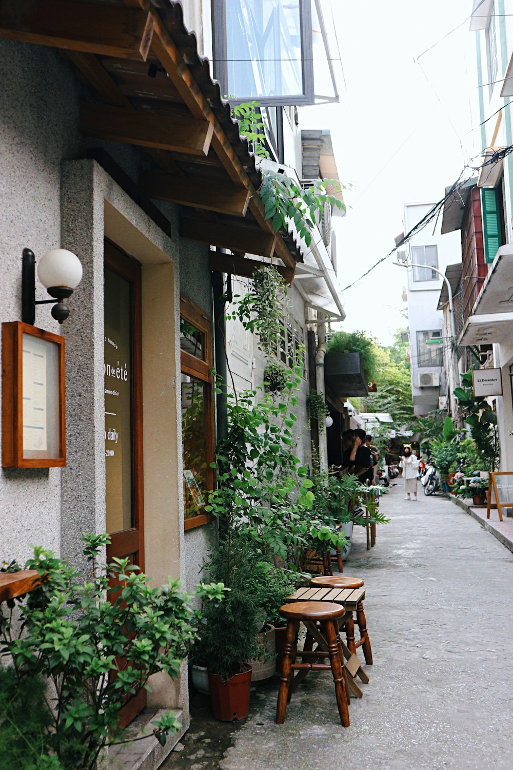 brown wooden bench beside green plants during daytime