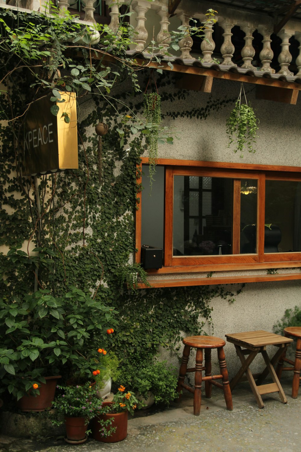 brown wooden window frame with green plants