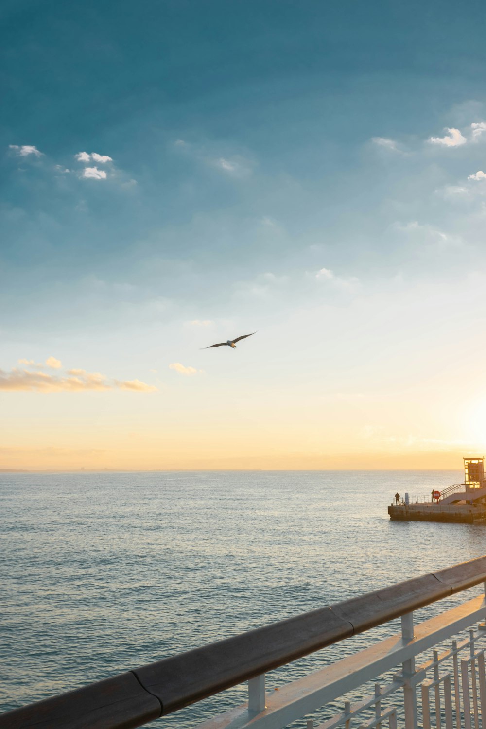 Vogel, der tagsüber über das Meer fliegt