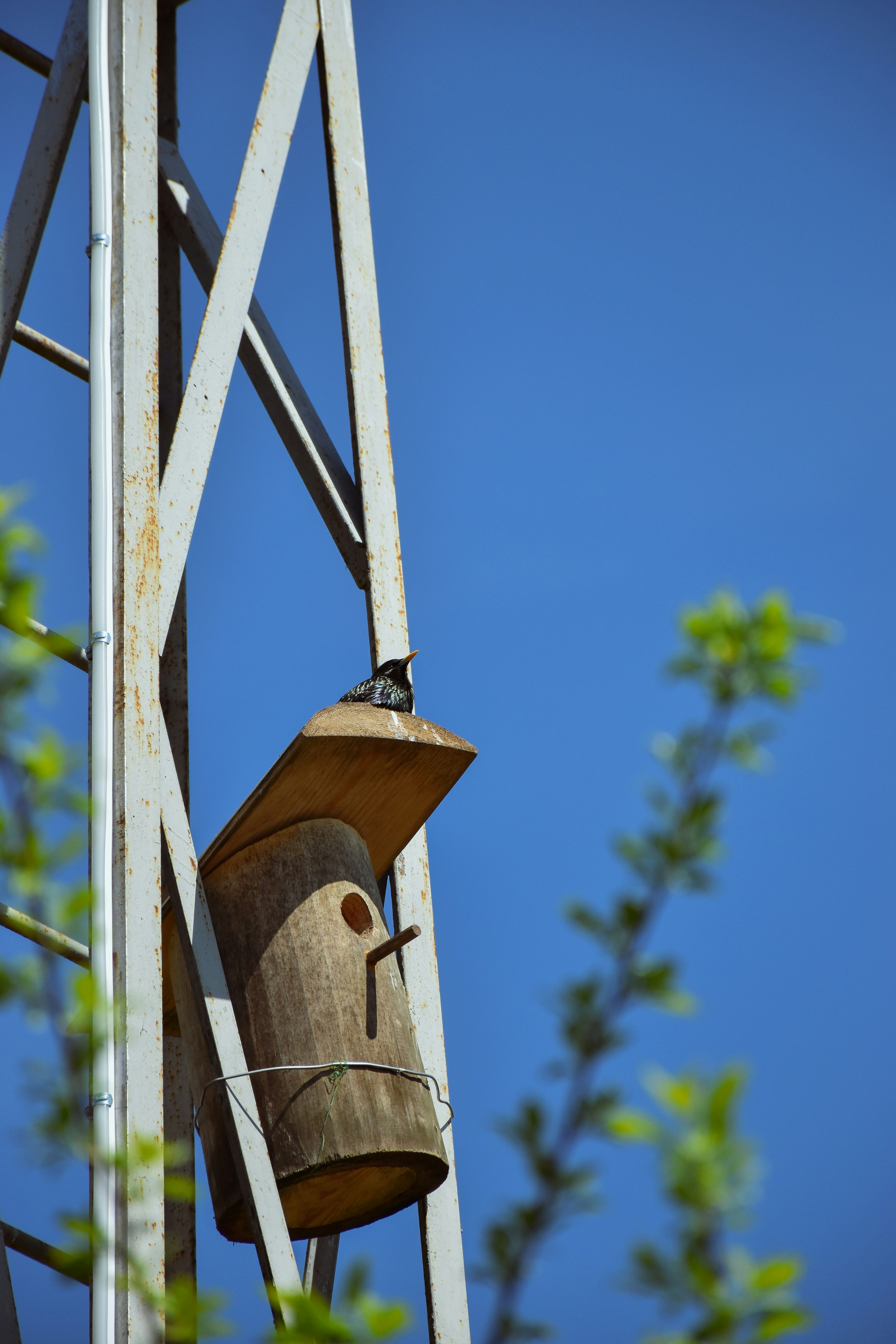 Photo by artem_makarov